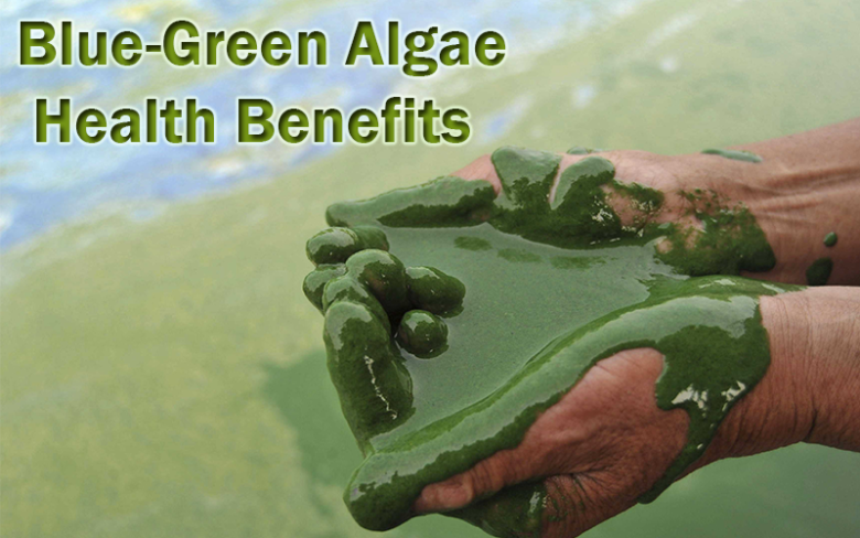 Blue Green Algae Health Benefits Eat Algae   Liquid Blue Green Algae In Hands E1503243629208 