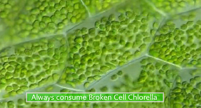 chlorella health benefits and side effects