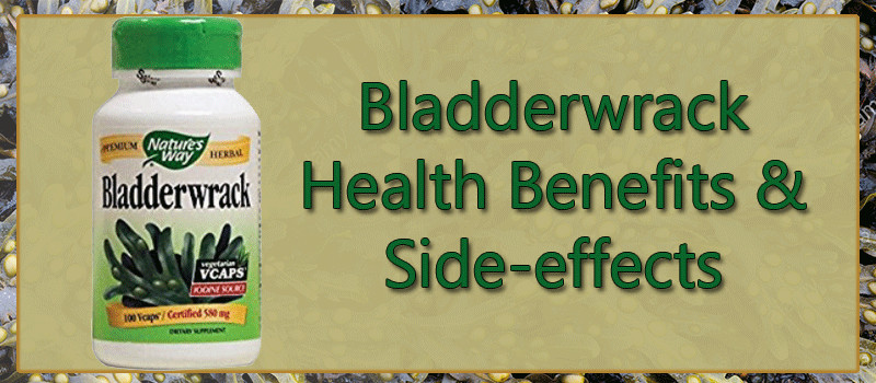 bladderwrack side effects