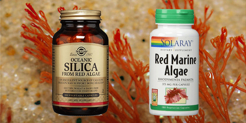 red-algae-supplements