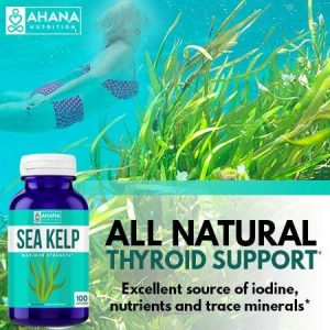 sea kelp for thyroid support