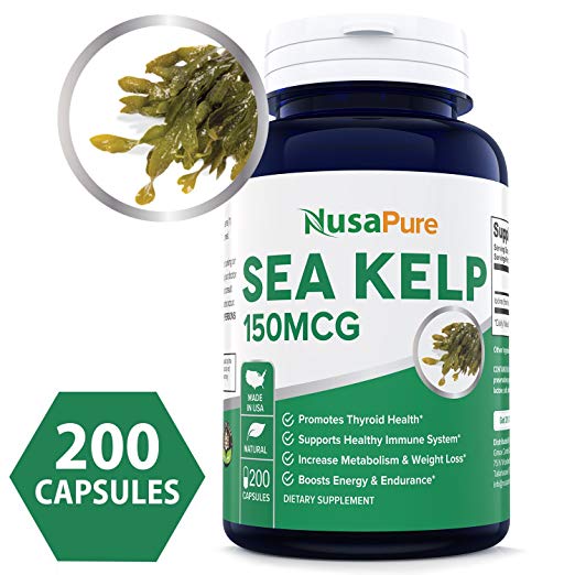 sea kelp for weight loss « Eat Algae