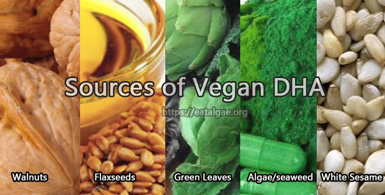 best vegan dha sources