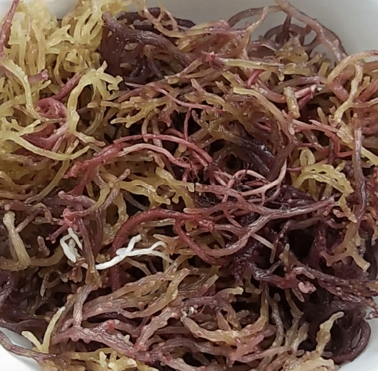 purple sea moss