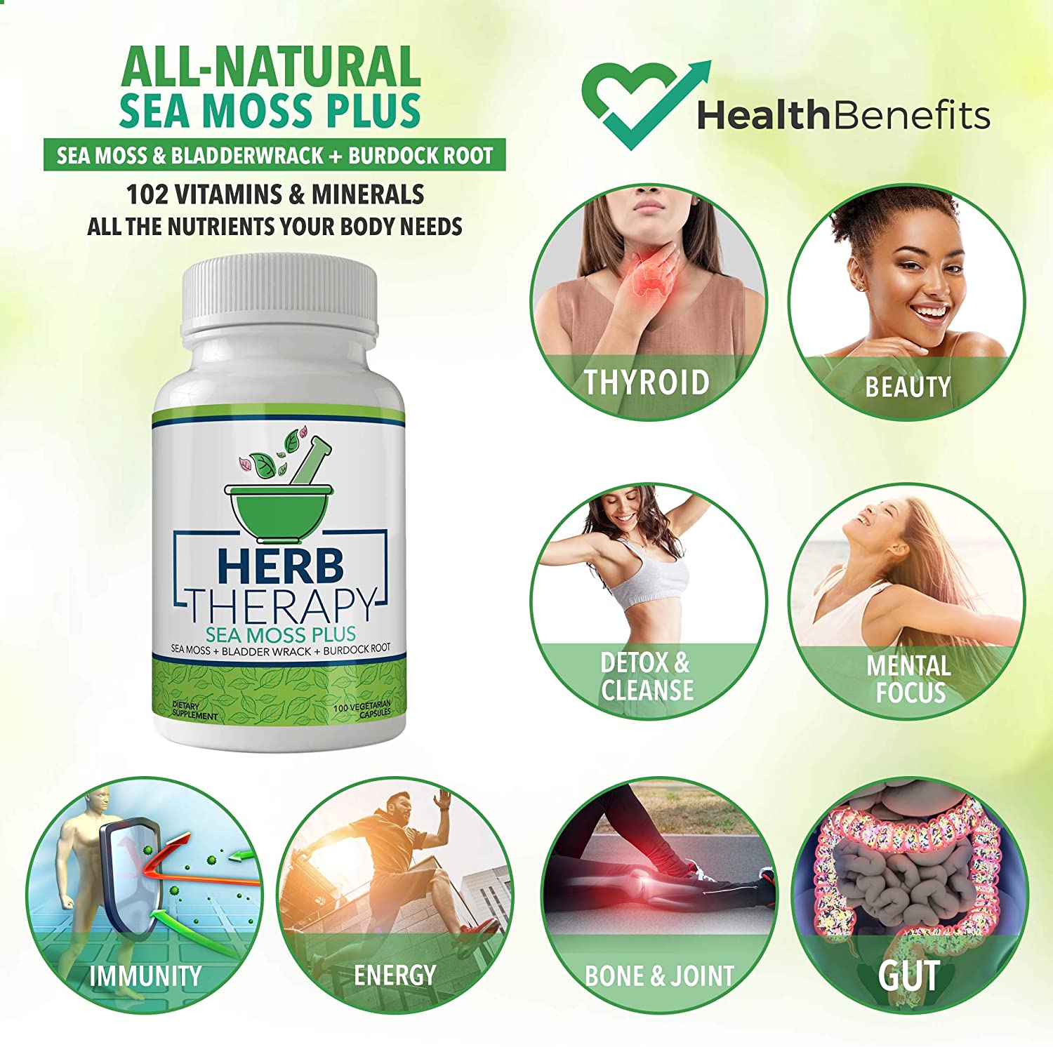 Sea Moss Bladderwrack And Burdock Root Health Benefits Eat Algae 