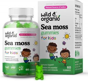 sea moss for kids